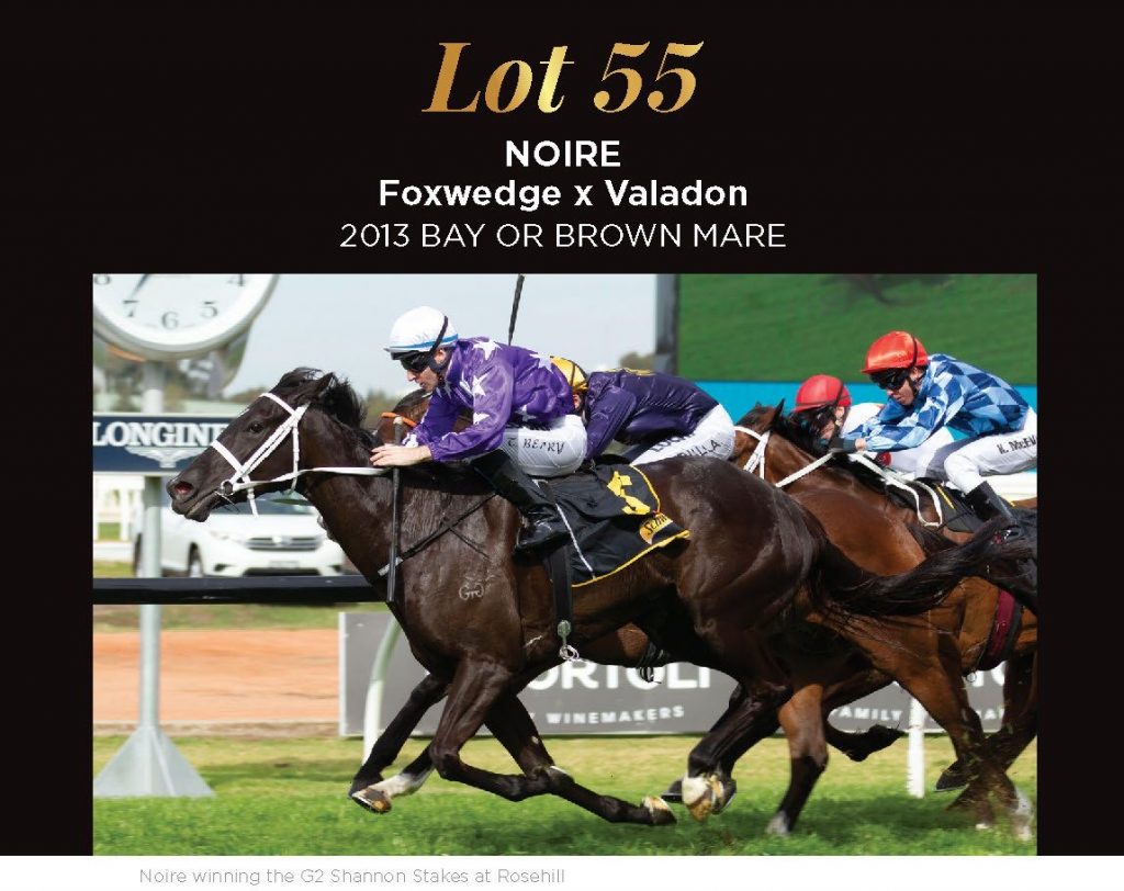 NOIRE sells at the Inglis Chairman’s sale