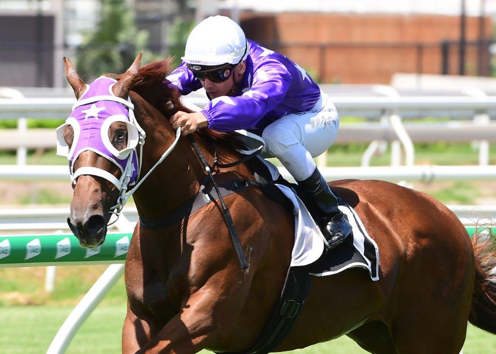 GRESHAM wins in good style at Eagle Farm at his first time racing in Brisbane