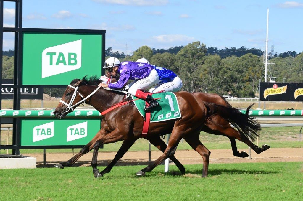 JOLIETTE (NZ) wins all 3 starts in Queensland