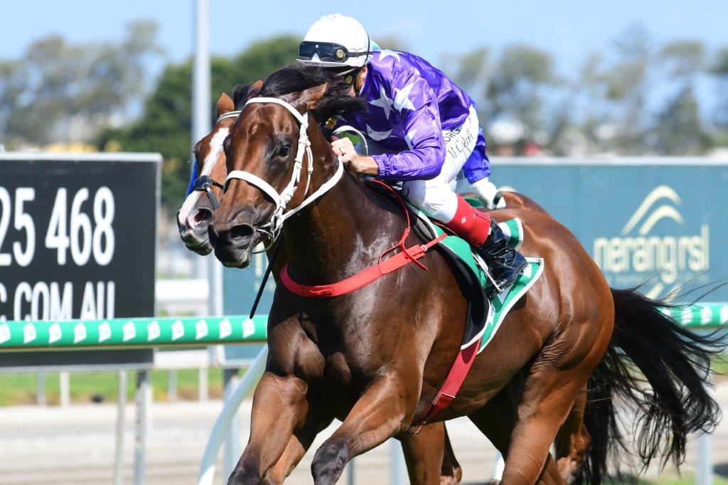 JOLIETTE (NZ) makes her presence felt on the Gold Coast