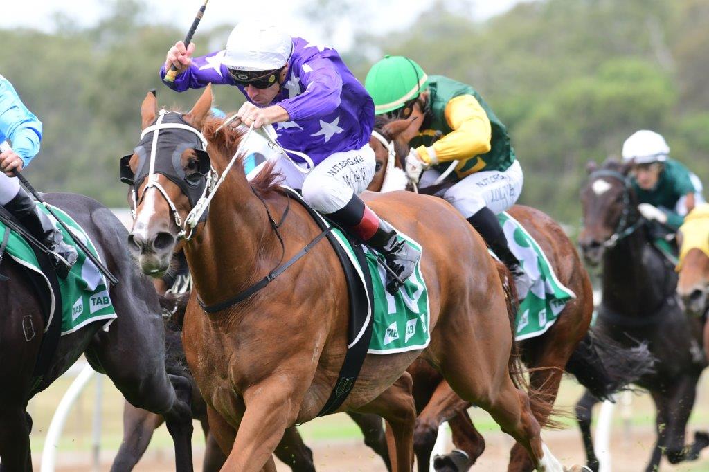 ENCHANTINGLY wins at Ipswich in a head bobbing finish