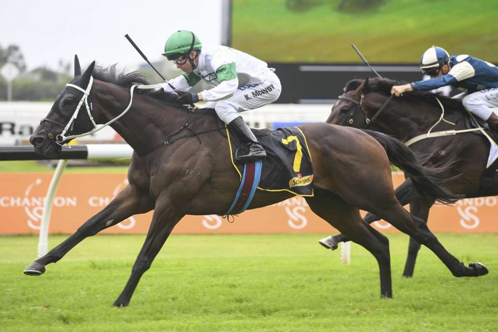 Back to back wins for SEAWAY (NZ) at Rosehill Gardens