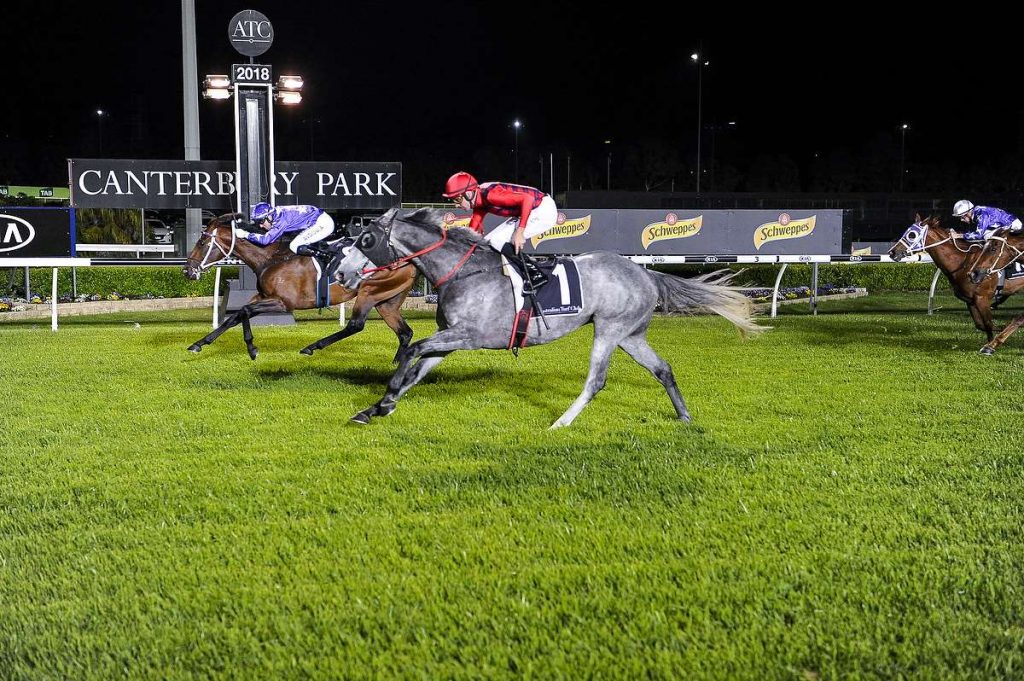 MANGIONE strikes a chord to win well at Canterbury Park