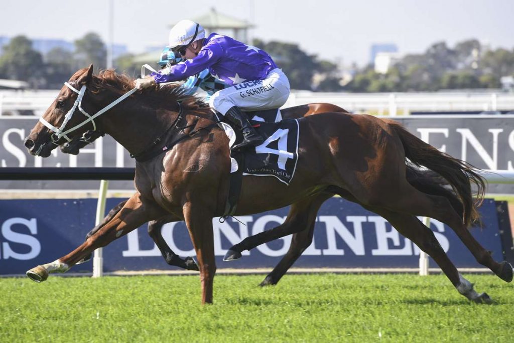 Two from two for smart colt KUBRICK as he wins at Rosehill Gardens