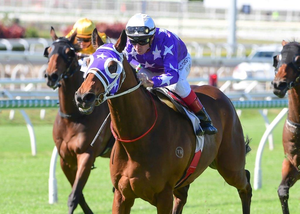 Import HUMBOLT CURRENT (GB) wins easily at Eagle Farm