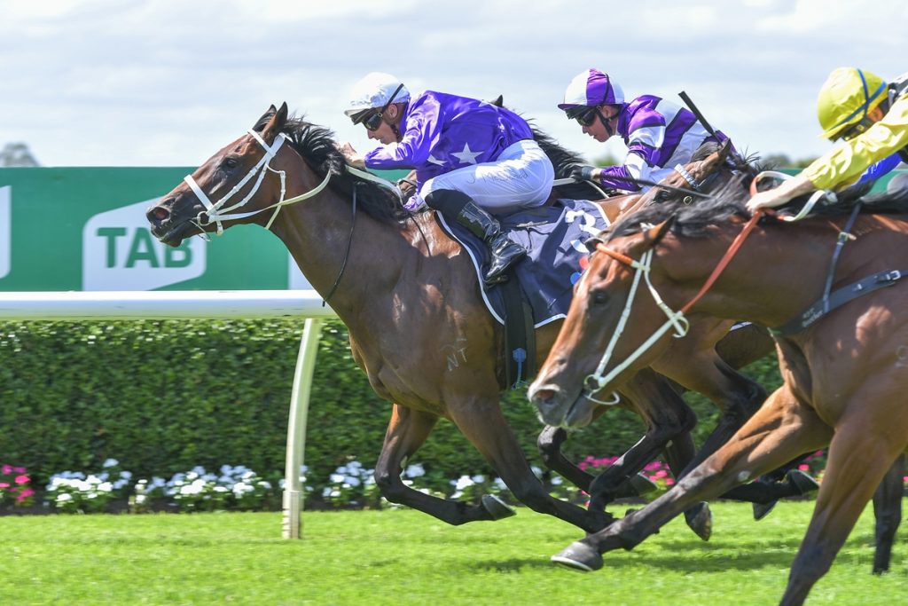 A determined win for SELEQUE at Warwick Farm