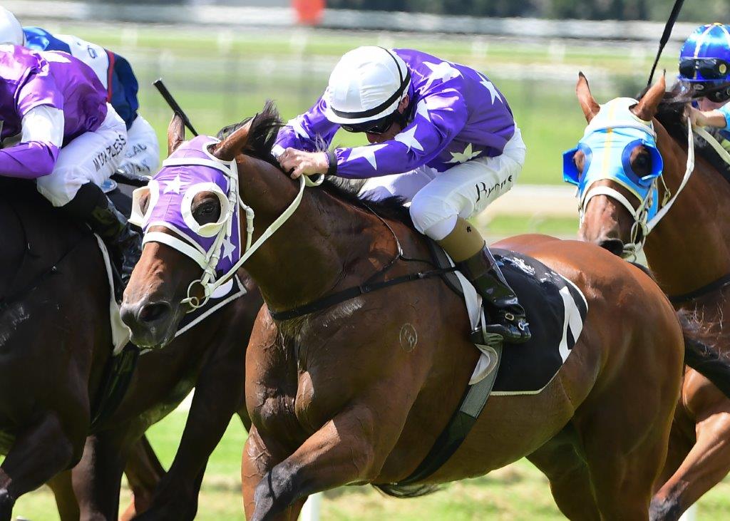 A tough effort by HUMBOLT CURRENT (GB) at Doomben