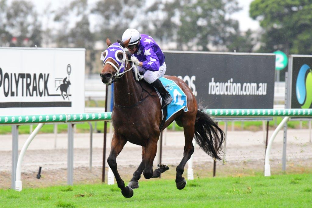 Decisive win by BRETON at the Gold Coast