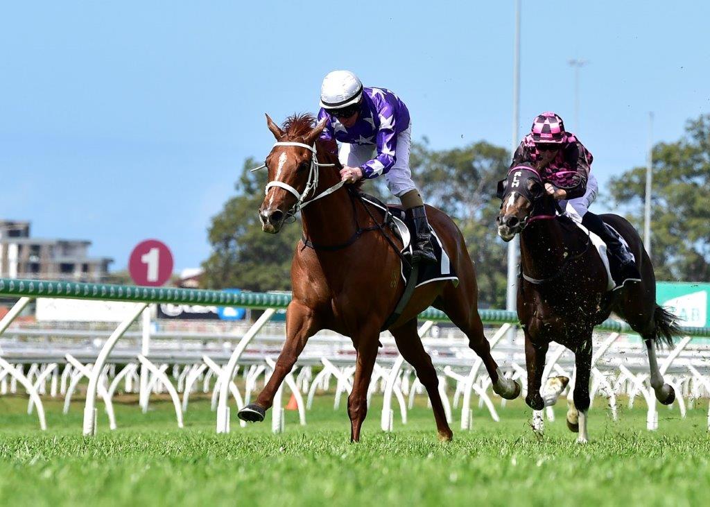 MERIMEE powers home at Eagle Farm