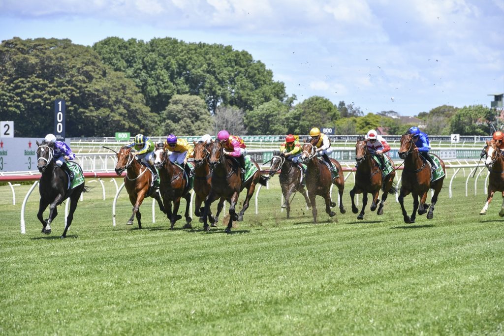 A ‘Cup day winner – this one in Sydney