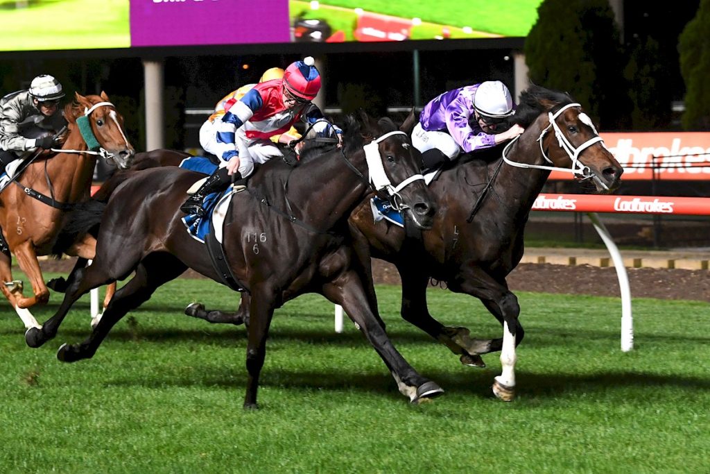 ROUSSEAU scores a determined win at Moonee Valley