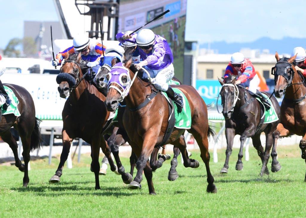 HUMBOLT CURRENT (GB) wins the Gold Coast Stakes