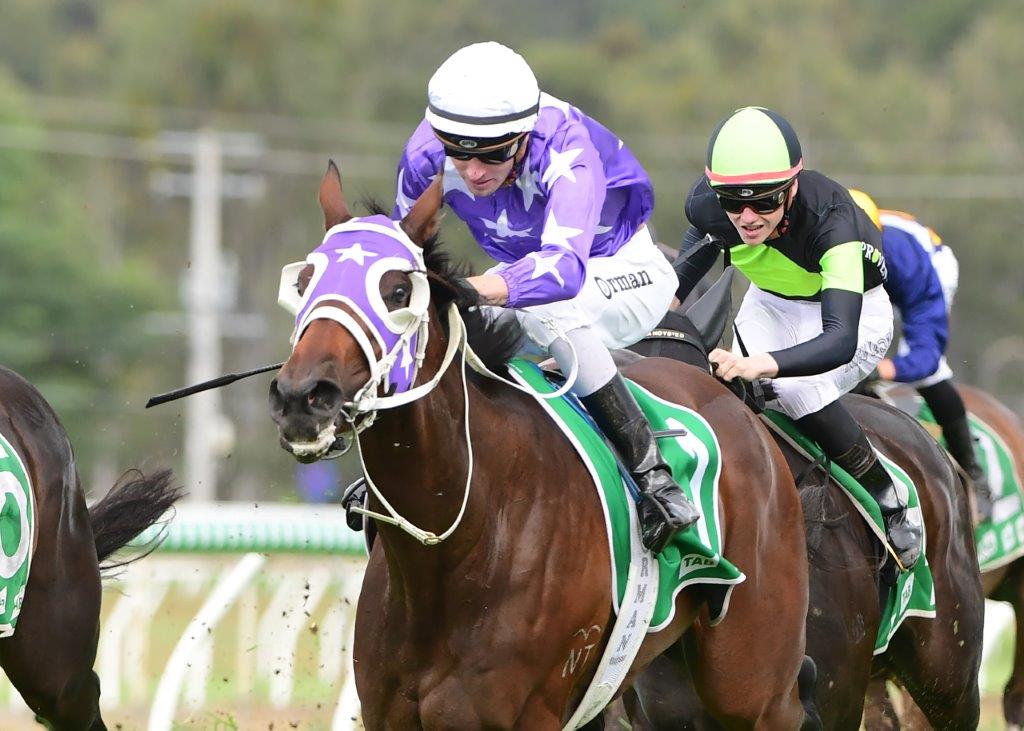 SELEQUE an easy winner at her first Queensland assignment