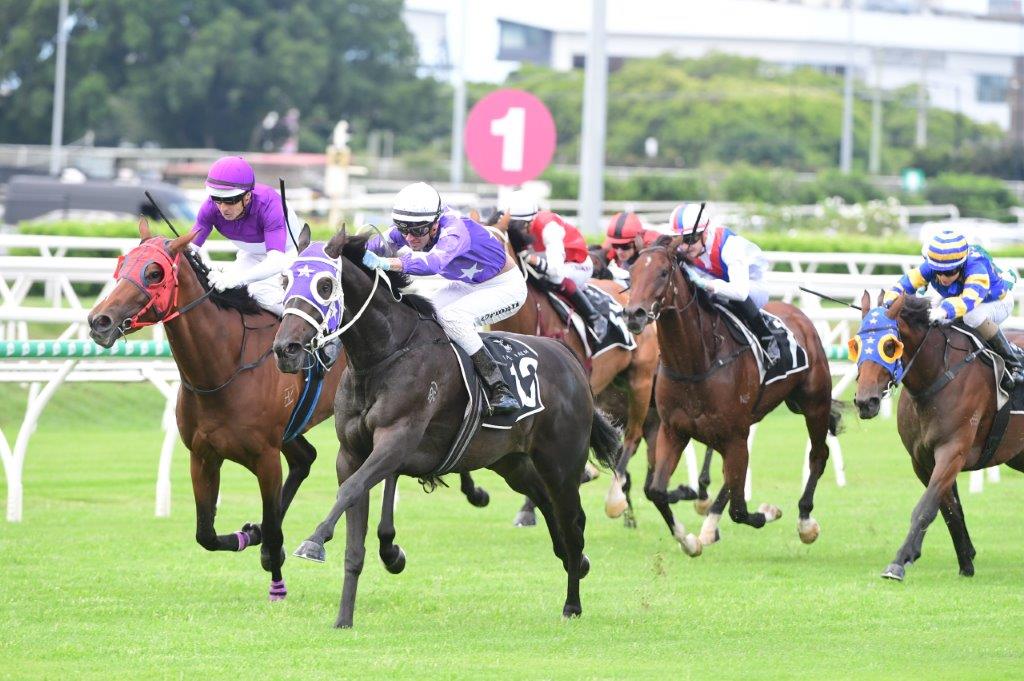 EDMONTON likely to target Queensland Derby