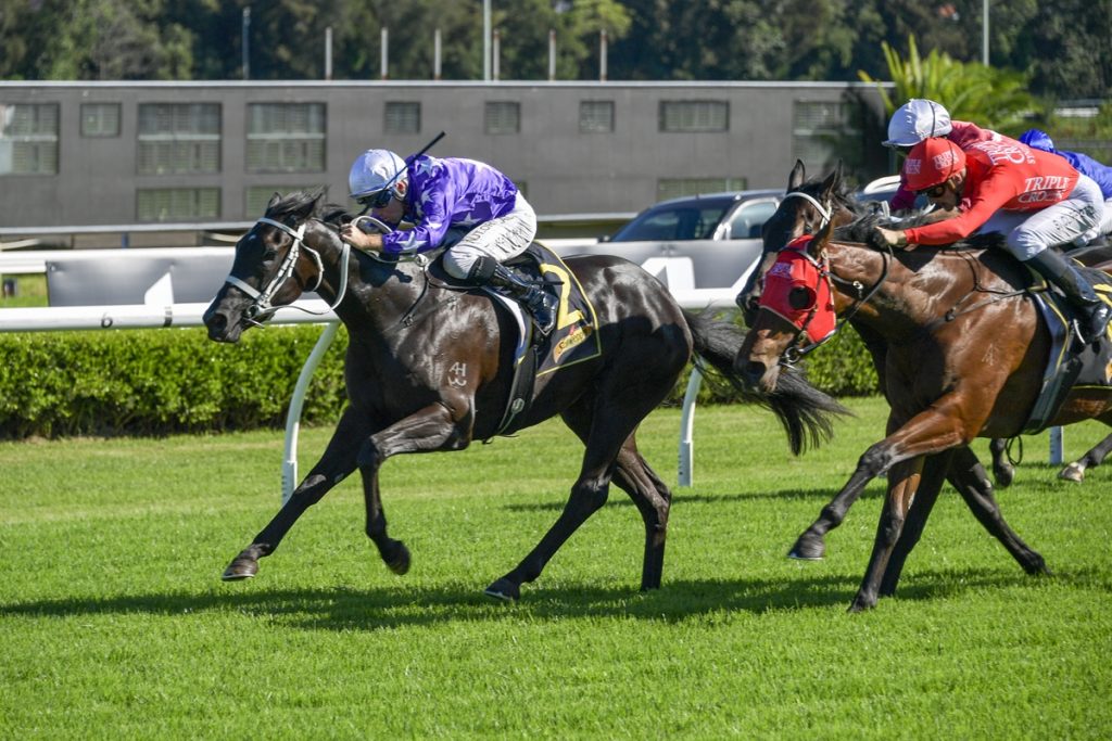 Two year old Sebring filly AMATI wins on debut