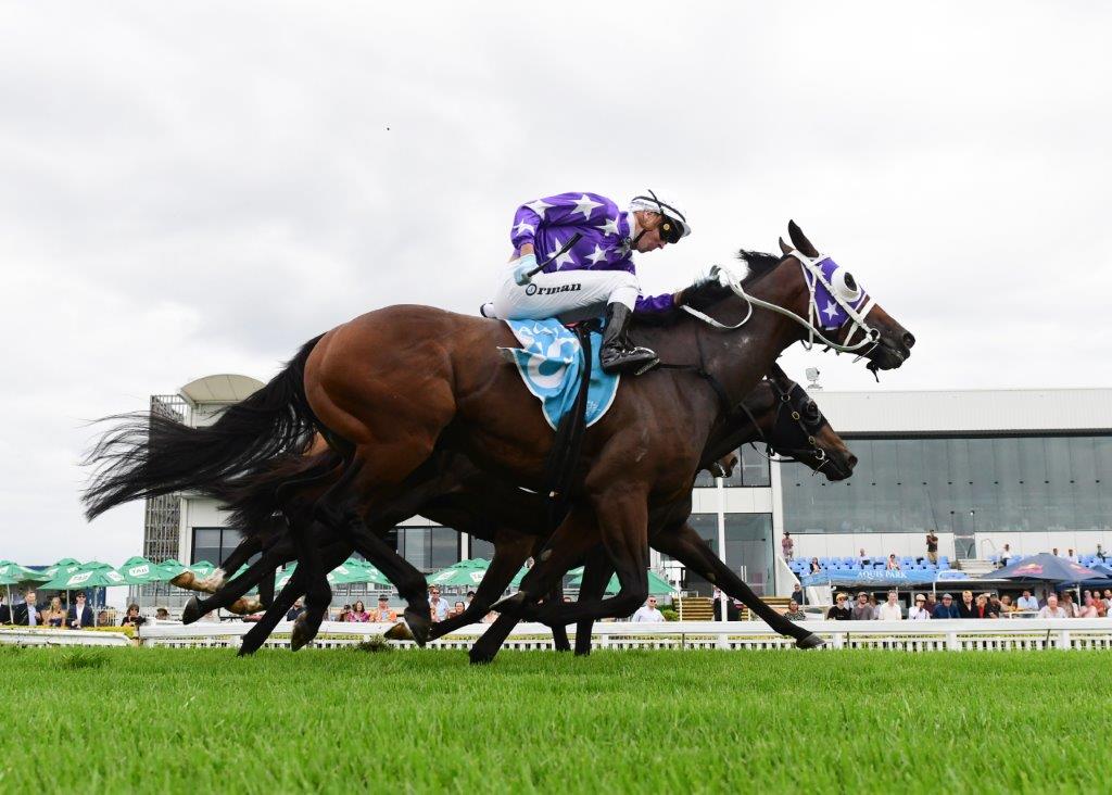 SELEQUE wins again in Queensland with James Orman producing another gem of a ride