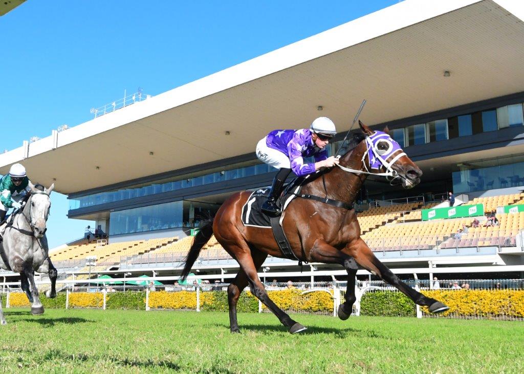 In form SELEQUE continues her great run in Queensland