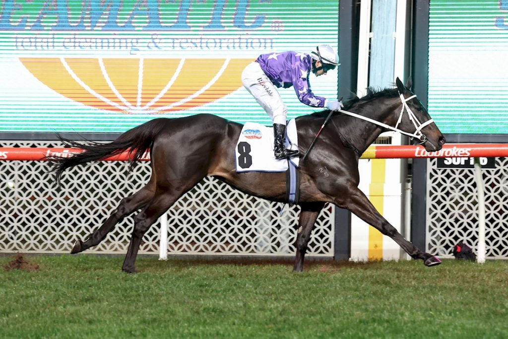 DESERT ICON (FR) wins the Group 3 JRA Cup