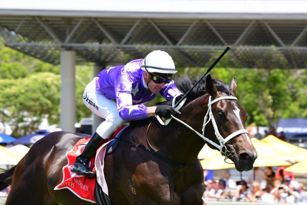 CHRYSAOR wins in good style on the Sunshine Coast