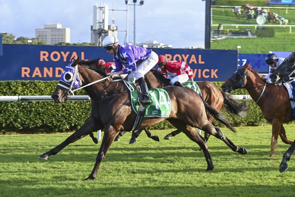A two state double with wins on the Kensington and Gold Coast tracks