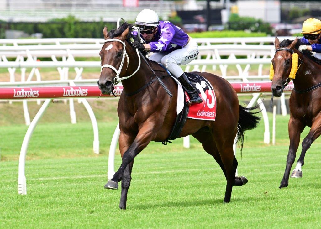 YASMEEN a runaway winner at Eagle Farm