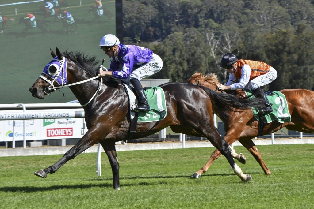 CHRYSAOR displays his Group 1 ambitions with a dominant win at Gosford