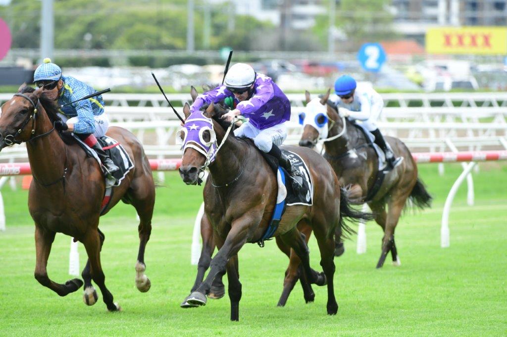 OCTAVIO wins at Eagle Farm on Melbourne Cup day