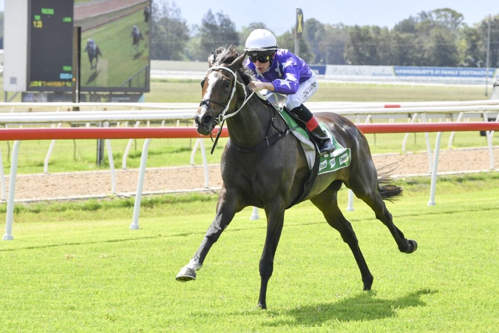 CONCELLO wins as she pleases at Hawkesbury