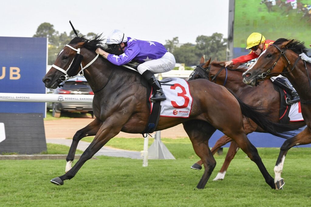 CADETSHIP wins at Rosehill Gardens with James McDonald aboard