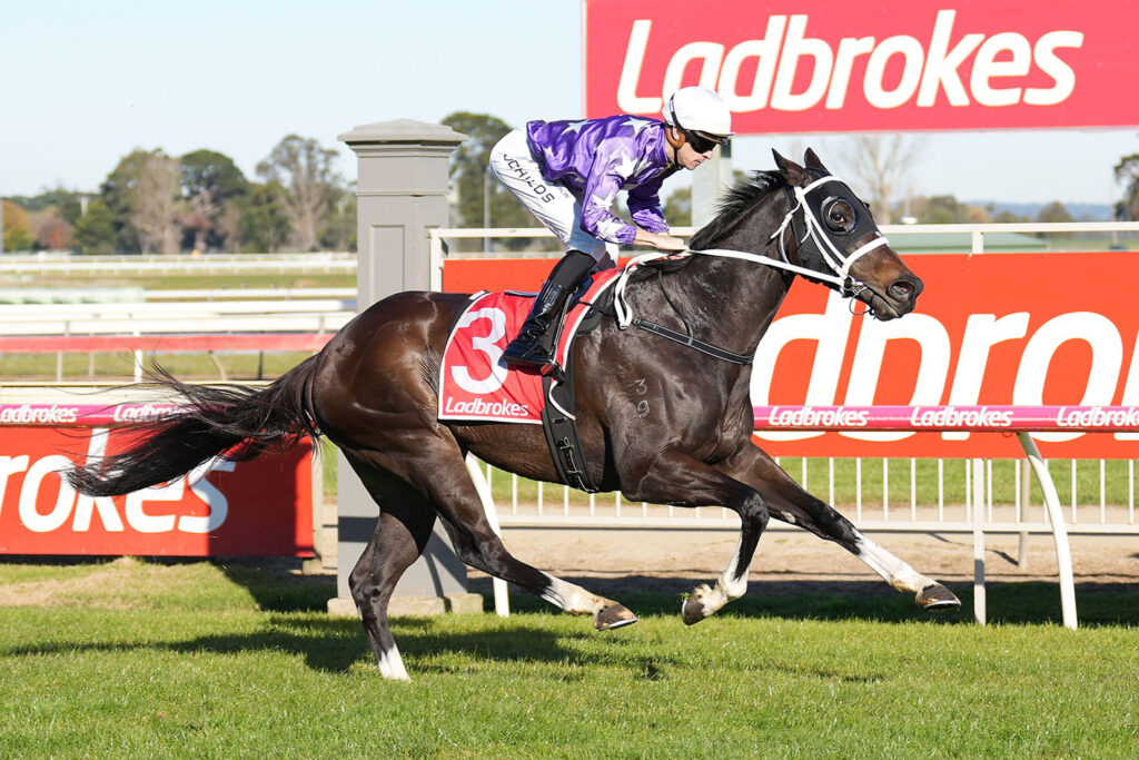An interstate double for our purple and white stars