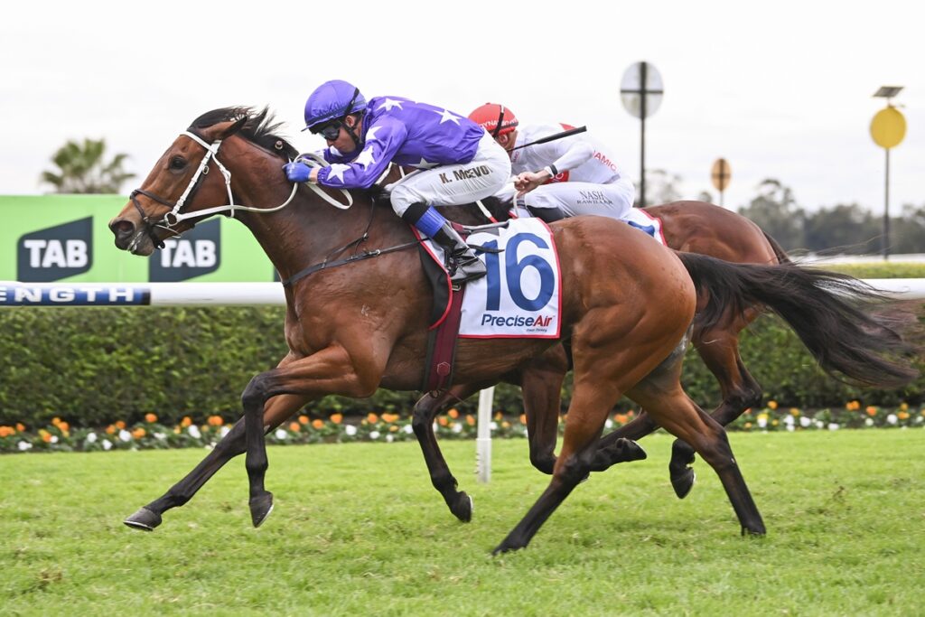 Determined win for DEMIANA at Warwick Farm