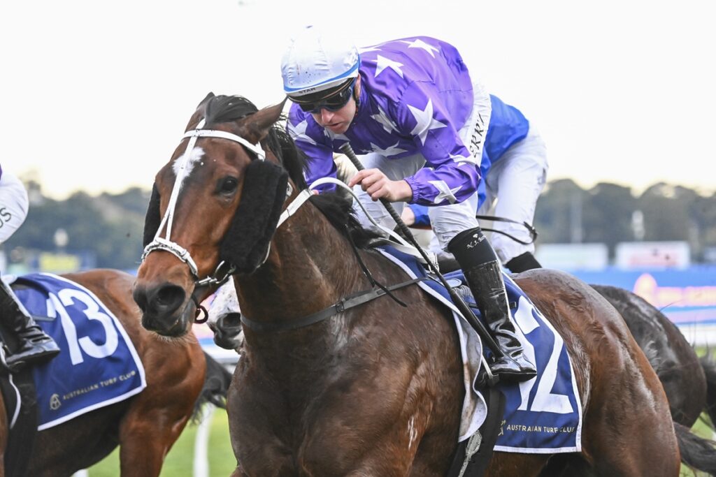 CADETSHIP wins at Royal Randwick first up with Tommy Berry aboard