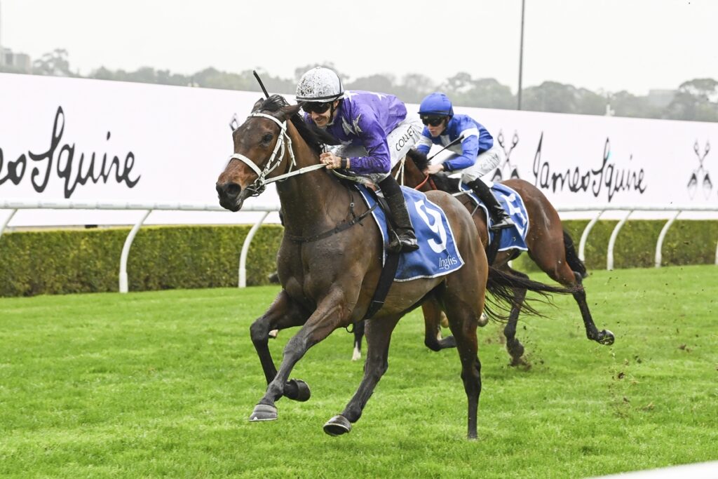 AELIANA (NZ) impressive when breaking her maiden