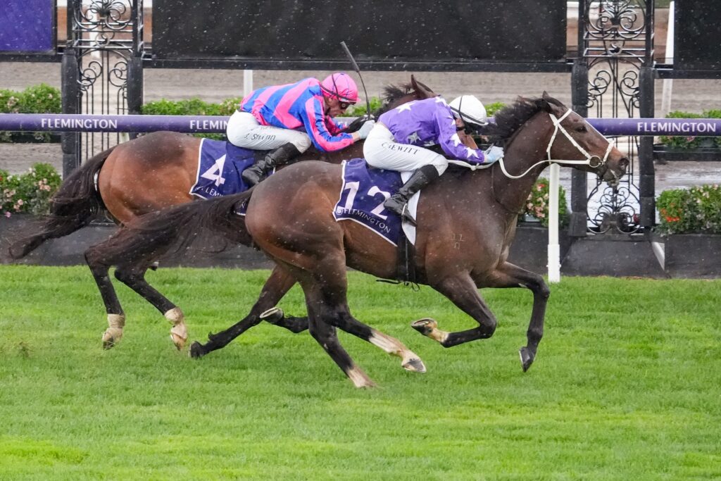 A big win at Flemington by CHRYSAOR sets him up for a successful Spring