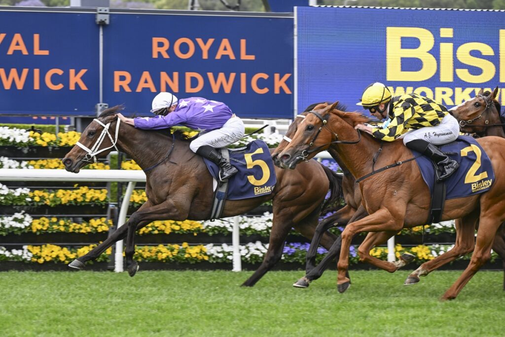 AELIANA (NZ) WINS AT ROYAL RANDWICK ON EVEREST DAY