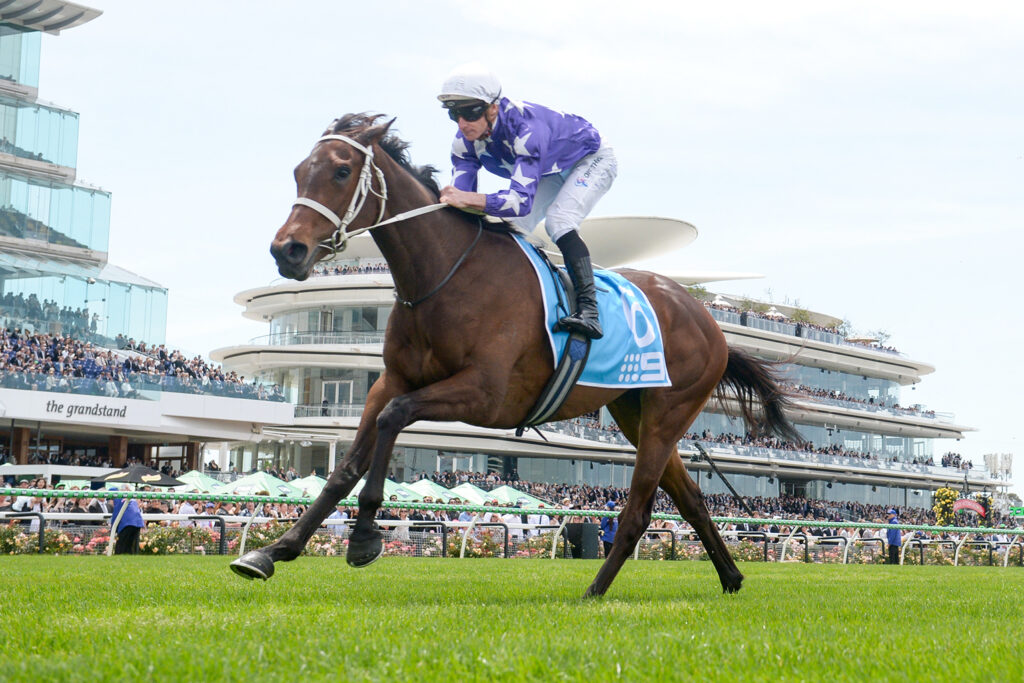 AELIANA (NZ) wins the Group 3 Carbine Club Stakes