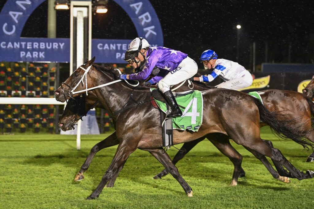 CONCELLO wins in a last stride victory at Canterbury Park