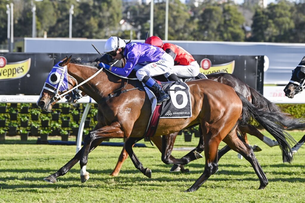 CANTARITO swoops late to win at Canterbury Park