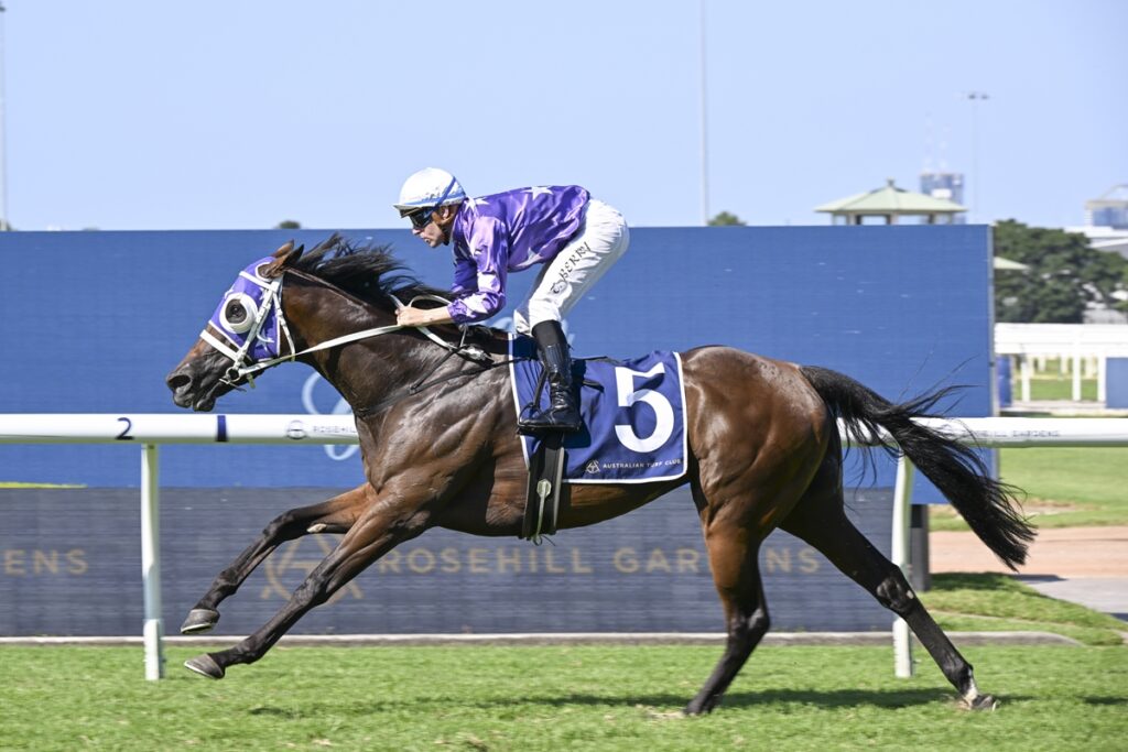 OLENTIA makes $2.6 million at Magic Millions virtual sale
