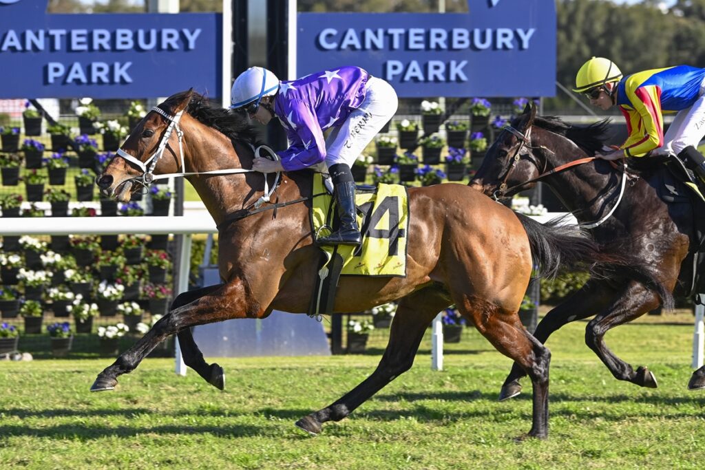 A late charge by Extreme Choice colt ESTREMO to win at  Canterbury Park