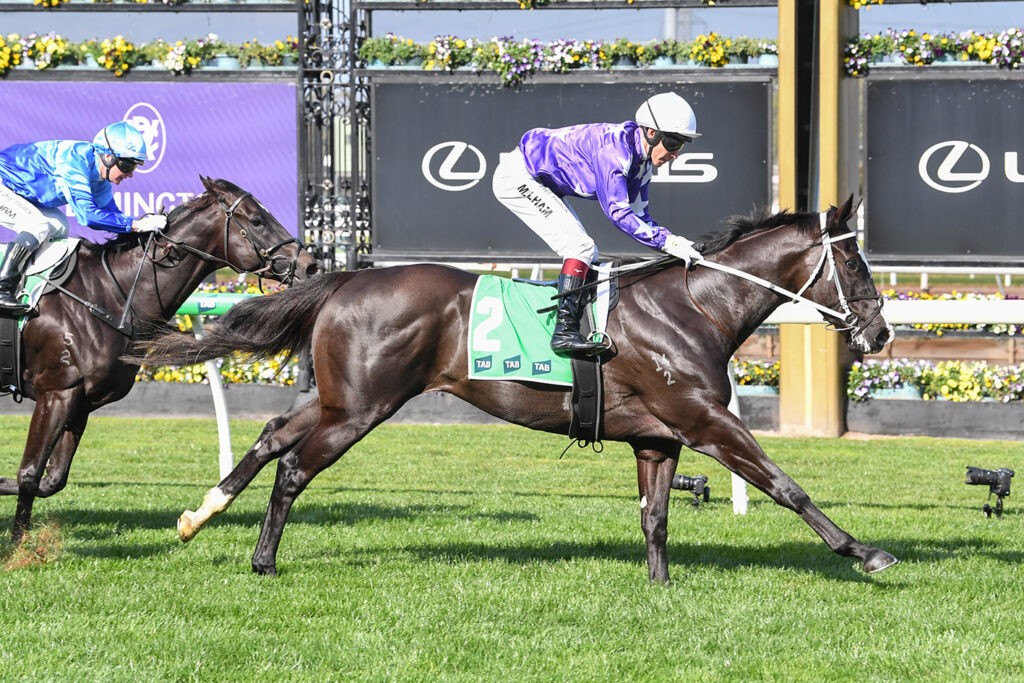 A great win at Flemington in race one of the new season for Star and Chris Waller