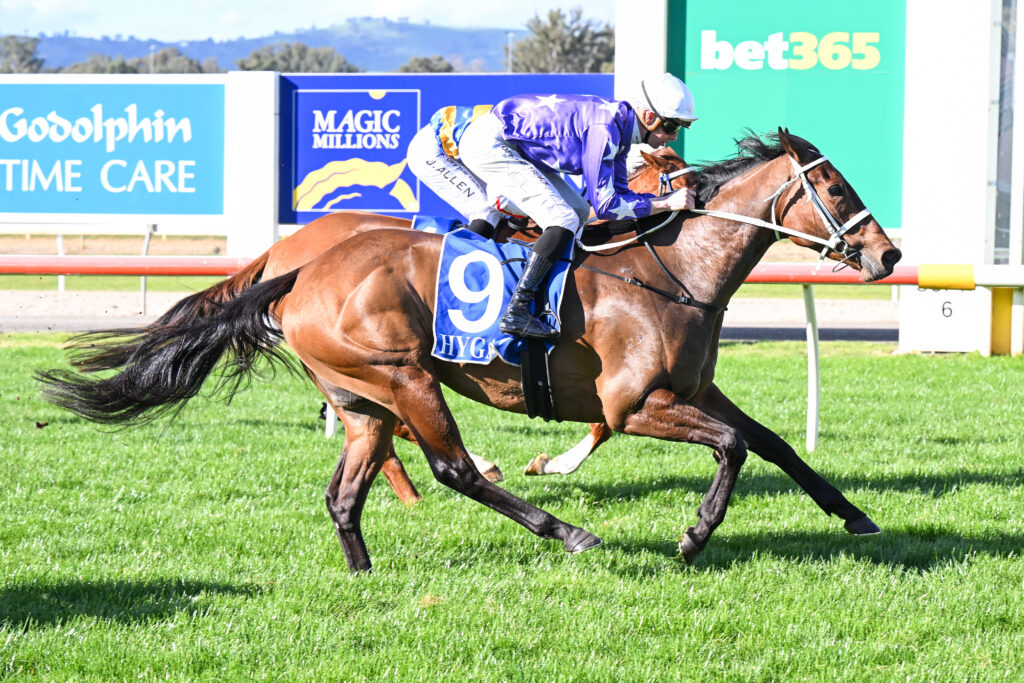 CAFE AU LAIT breaks through at Seymour