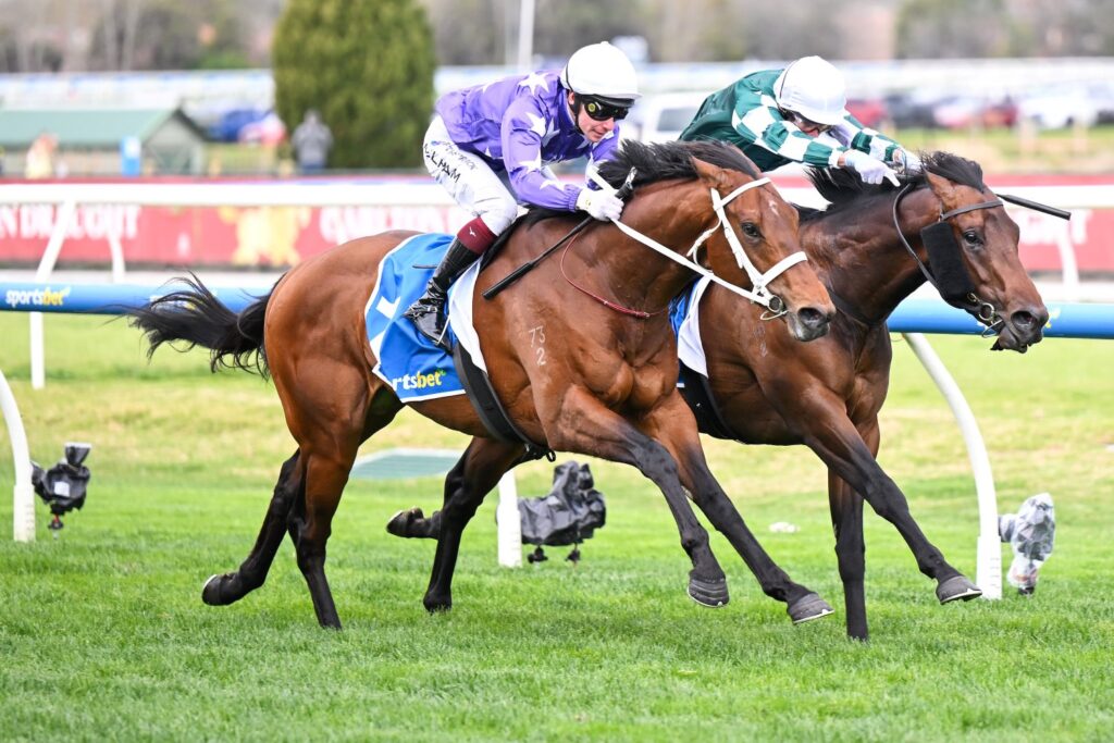 ESTREMO wins the Group 3 Caulfield Guineas Prelude