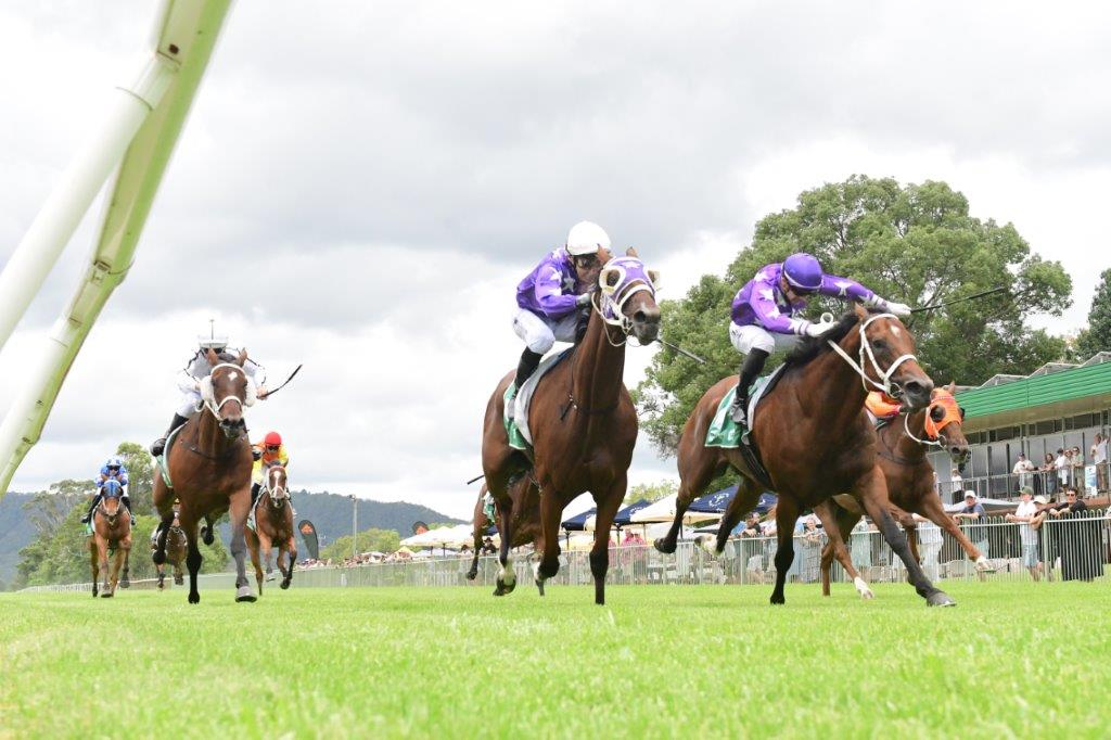 Star quinella as DIOSA leads home from a fast finishing ZEPHIRINE