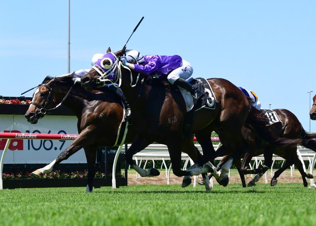 NOBLE CONQUEROR delivers some early Christmas cheer