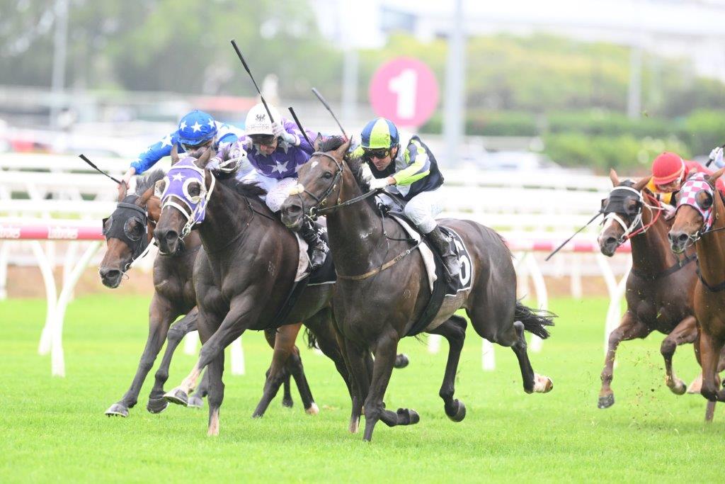 NOBLE CONQUEROR wins again