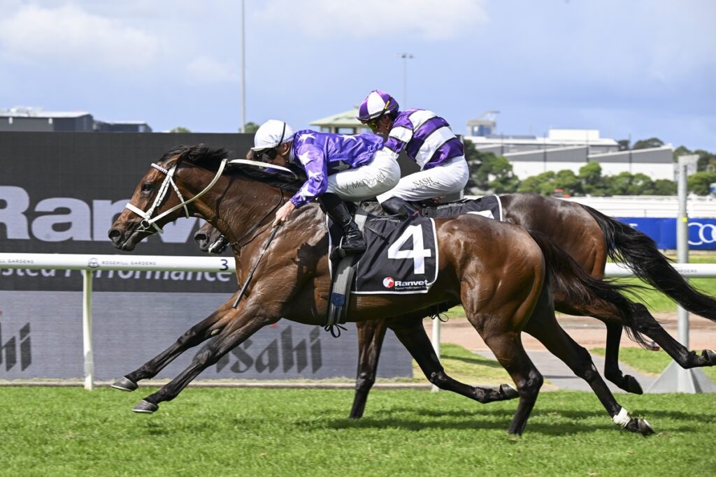 AELIANA (NZ) records her 2nd Group 1 victory winning the time honoured Ranvet Stakes at Rosehill Gardens