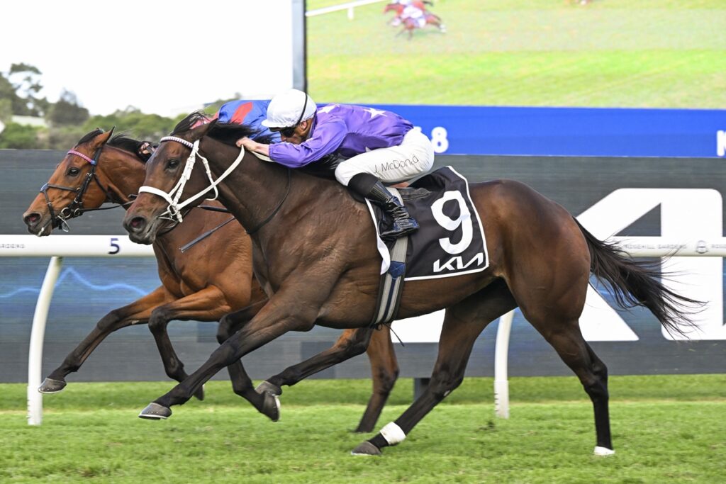 AELIANA (NZ) comes out on top of Tancred thriller