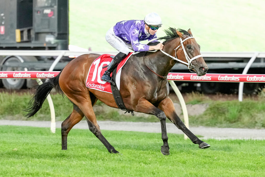 CAFE AU LAIT scores at Pakenham