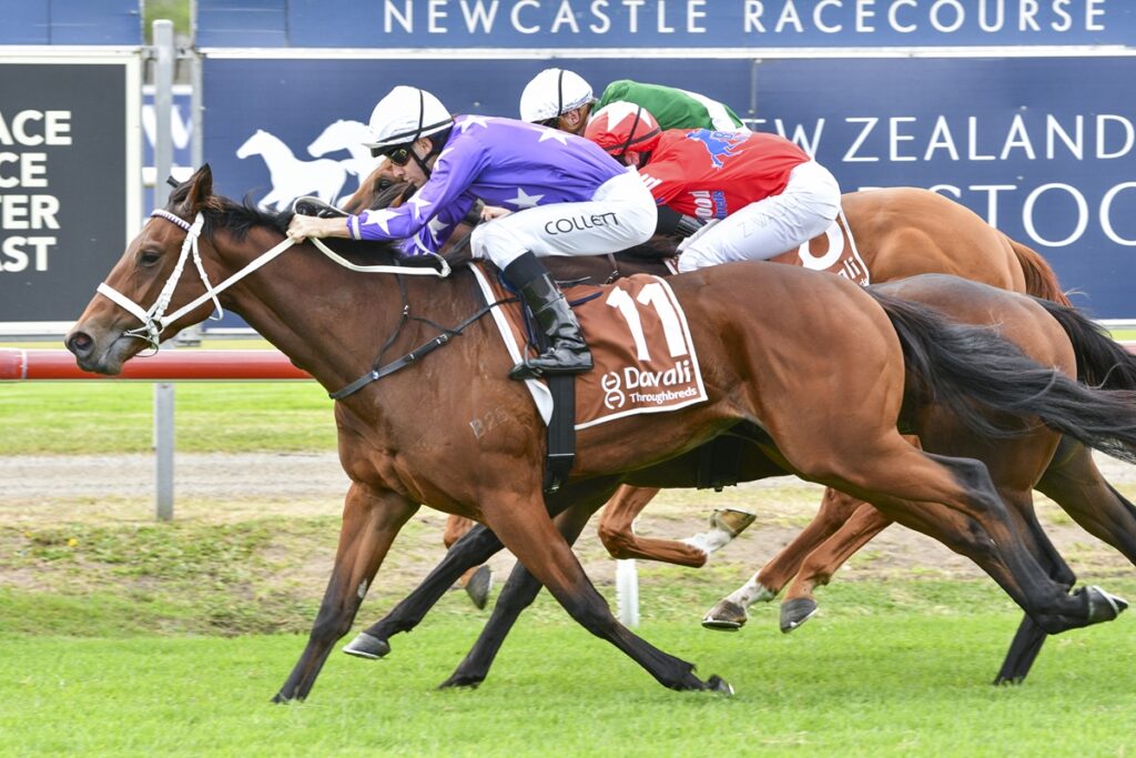 CHATTERLEY delivers at Newcastle